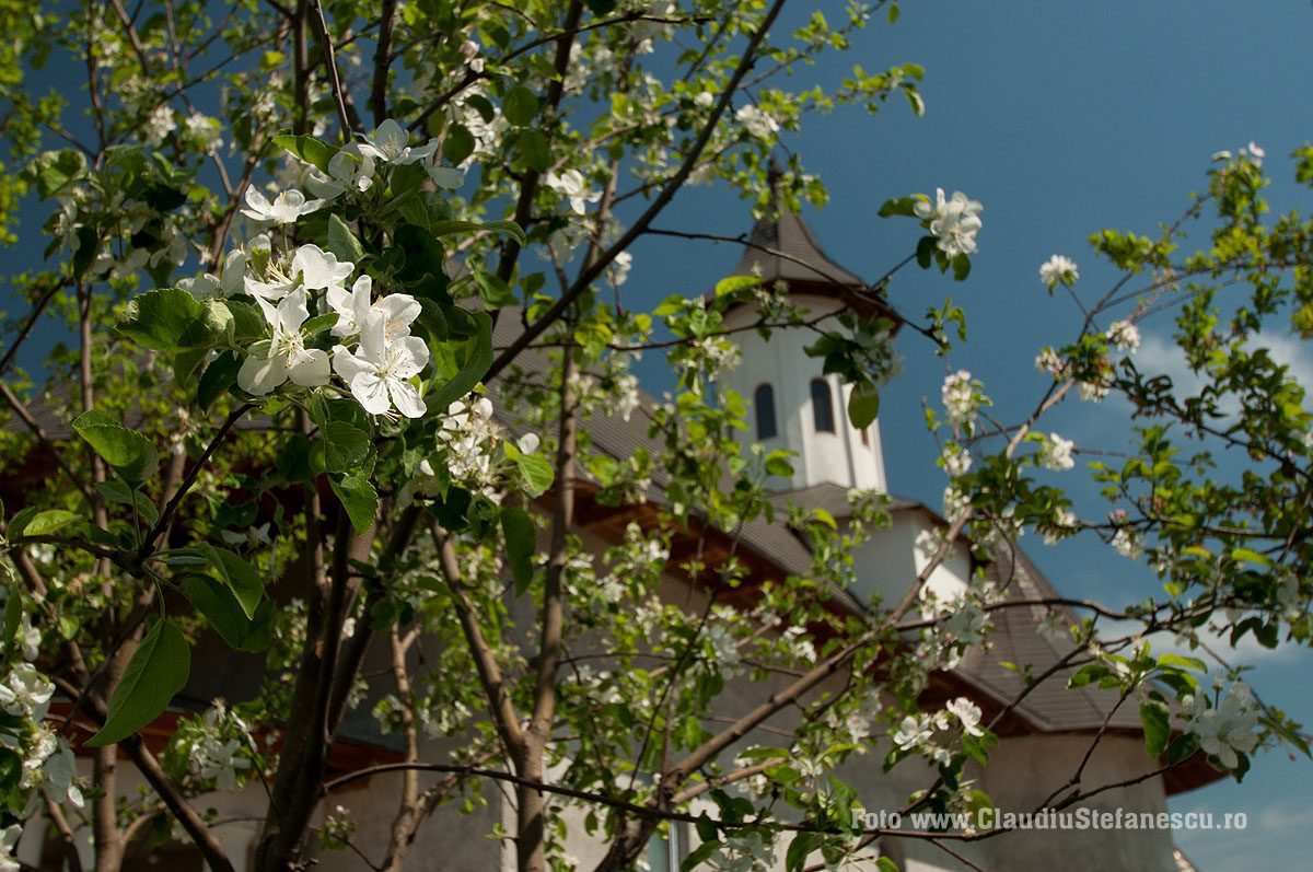 Biserica