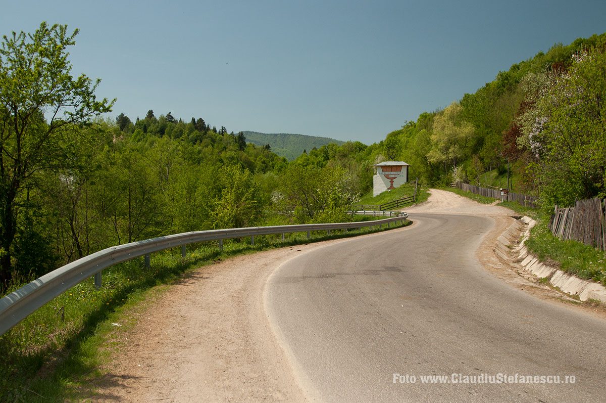 Troițe
